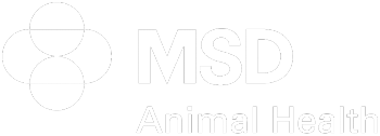 Logotipo de MSD Animal Health en blanco