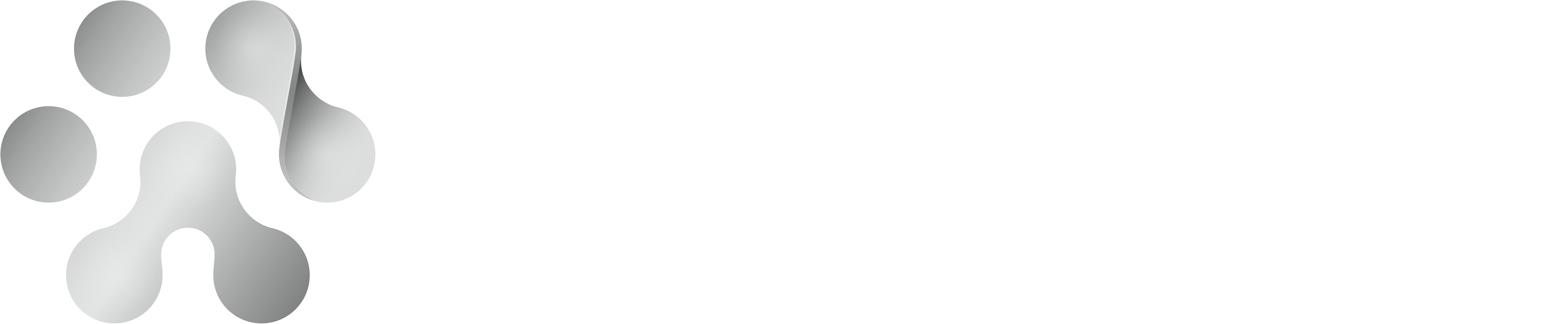 Numelvi logo Logotipo de Numelvi horizontal en blanco