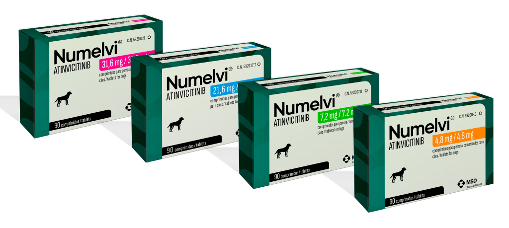 Foto de presentaciones de Numelvi. 4 presentaciones disponibles por peso.